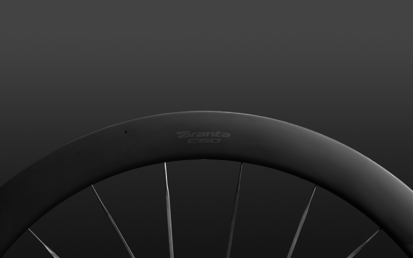 Carbon Wheelsets Raced by the Pros